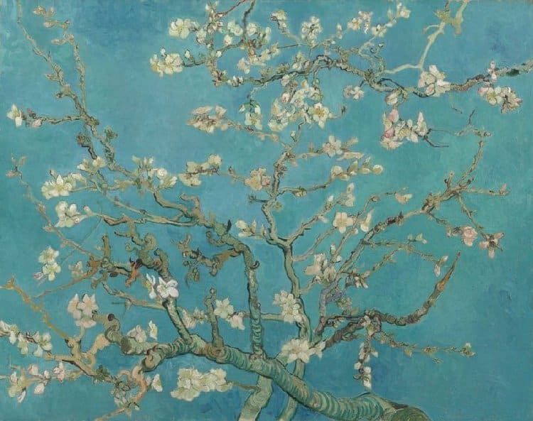 1.500 Van Gogh Sanat Eseri Dijitalleştirildi