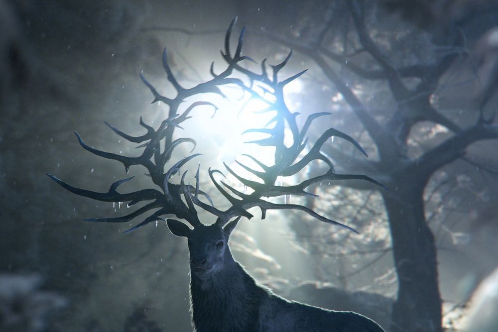 Gölge ve Kemik: Netflix’in Yeni Fantastik Dizisi