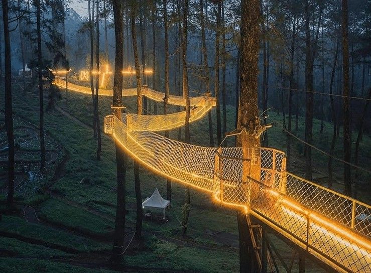 Cikole Orkide Ormanı ve Muhteşem Işık Köprüsü