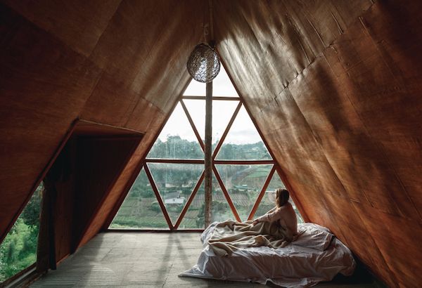 Cama Alternatif Olacak Şeffaf Ahşap Geliştirildi